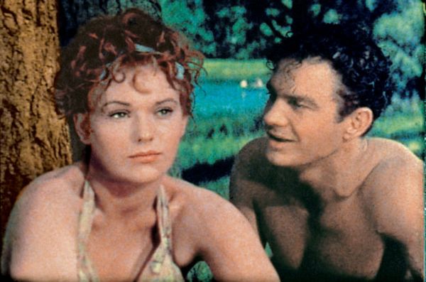 Picnic (1955) - Joshua Logan | Synopsis, Characteristics, Moods, Themes